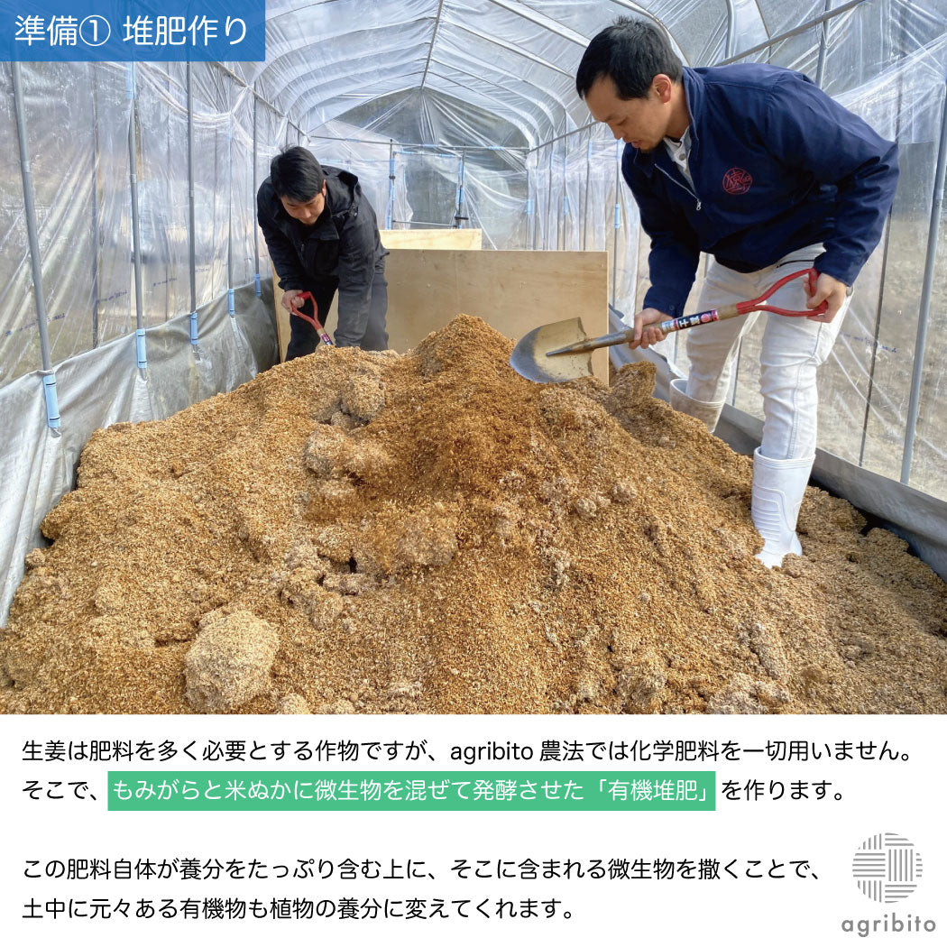 とれたて生姜1kg【発送は12月ごろを予定】