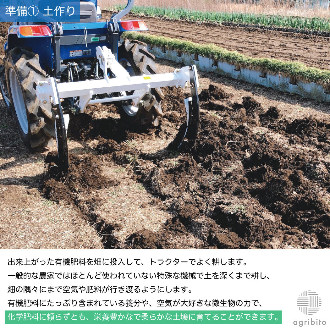 とれたて生姜1kg【発送は12月ごろを予定】
