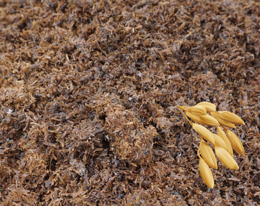 モミボカシ(40L×50袋)